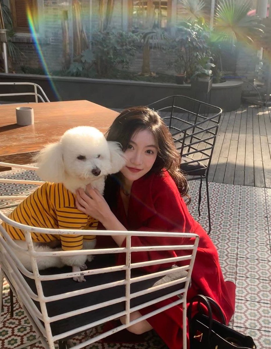 dcahIbv's tweet photo. 💒「募集贩送」丨北京御姐  💒

今日敬业姬丨 长身美脚女

◆：01
◇：173
◆：94
◇：D

猫与白皙的欲体 你都得撸~

又欲又飒丨嘴养饲方丨悦耳娇喘丨绅手可及

#上海 #南京 #深圳 #北京 #温州 #线下 #贵阳 #丝袜 #成都 #长沙 #南宁 #广州 #郑州 https://t.co/kDpuSNA3Aw