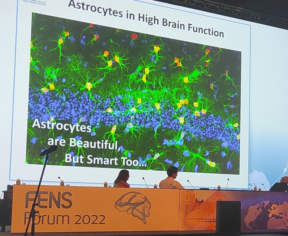 Rancillac Armelle 🔬 tweet media