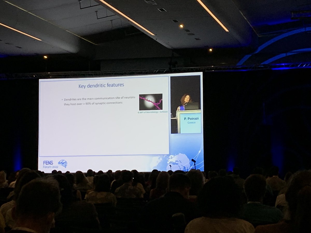 RibeiroCarlitos's tweet image. Finishing the day with @YiotaPoirazi leading the full hall A through the functional relevance of dendritic computations. The power of computational neuroscience being highlighted at #FENS2022