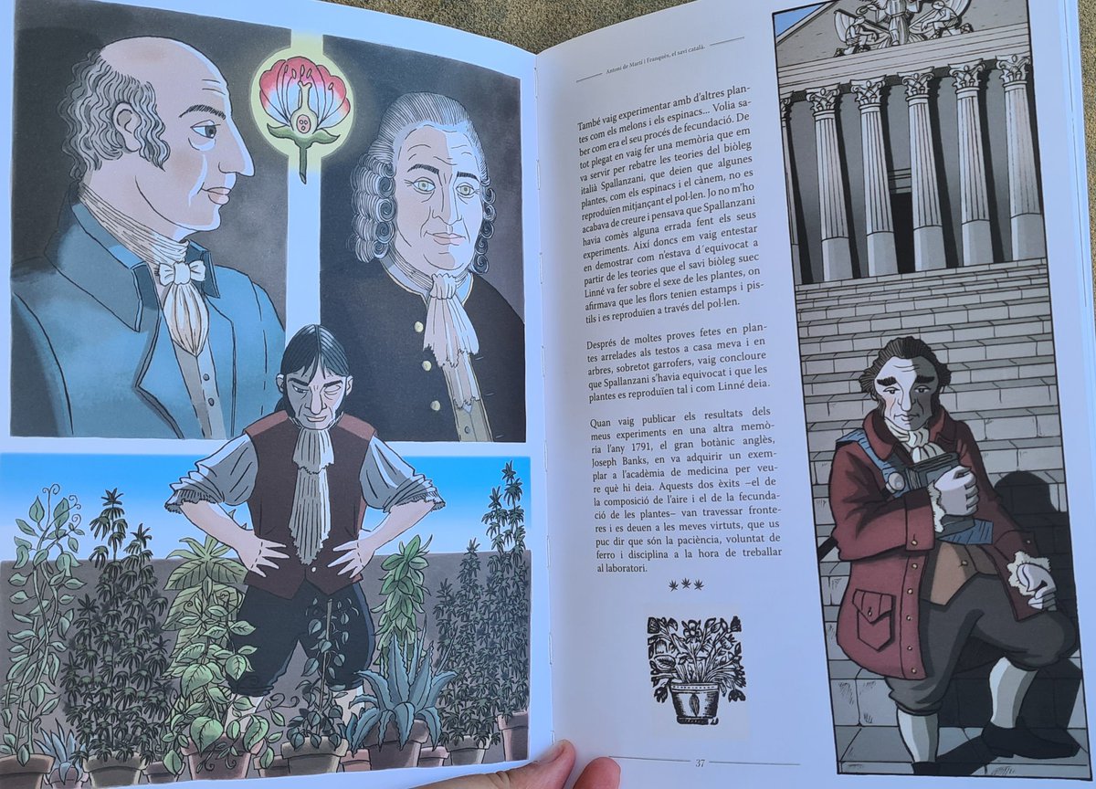 Horta i Llum tweet media