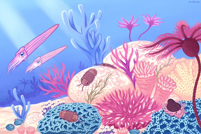 Heyyy #PortfolioDay, I'm an illustrator &amp; designer who illustrates animals &amp; loves natural history! I would love to work on science comm &amp; natural history projects in the upcoming months!! 🪲💖 