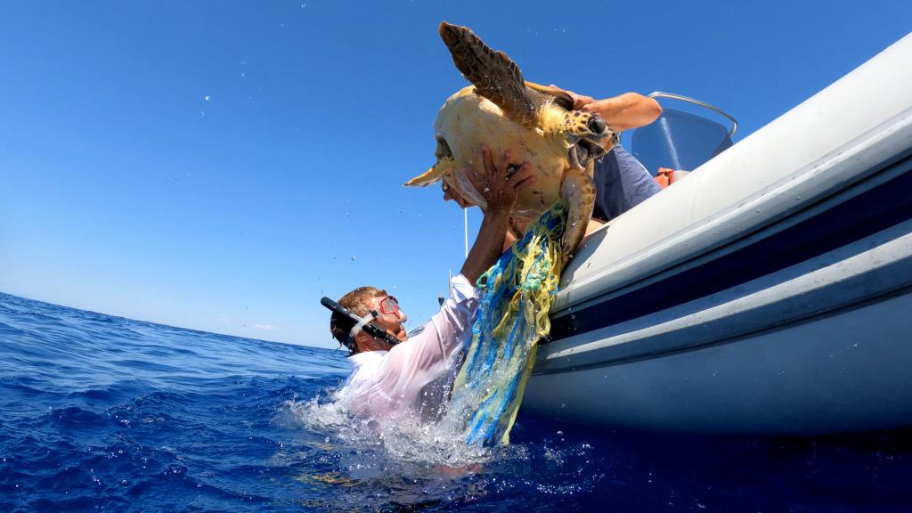 Working from sunrise to sunset in the Cabrera National Park <a href="/_cc_network/">Conservation Collective</a> @MenorcaPreserv <a href="/IBZPreservation/">IbizaPreservation</a> <a href="/OceanCare/">OceanCare</a>