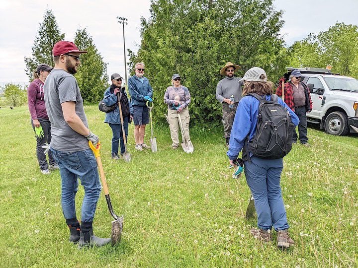 HamiltonNature's tweet photo. As our work with the BAP (Biodiversity Action Plan) in Hamilton grows, we’ll need you even more. If you’re interested in volunteering in nature sanctuaries, parks, urban gardens etc -pls reach out. 
You can respond to this post or send a private message.

Thank you 💚

#HamOntBAP https://t.co/rHw6FoEg7P