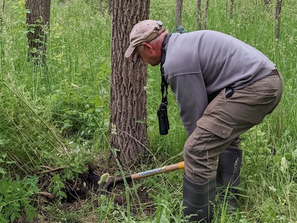 HamiltonNature's tweet photo. As our work with the BAP (Biodiversity Action Plan) in Hamilton grows, we’ll need you even more. If you’re interested in volunteering in nature sanctuaries, parks, urban gardens etc -pls reach out. 
You can respond to this post or send a private message.

Thank you 💚

#HamOntBAP https://t.co/rHw6FoEg7P