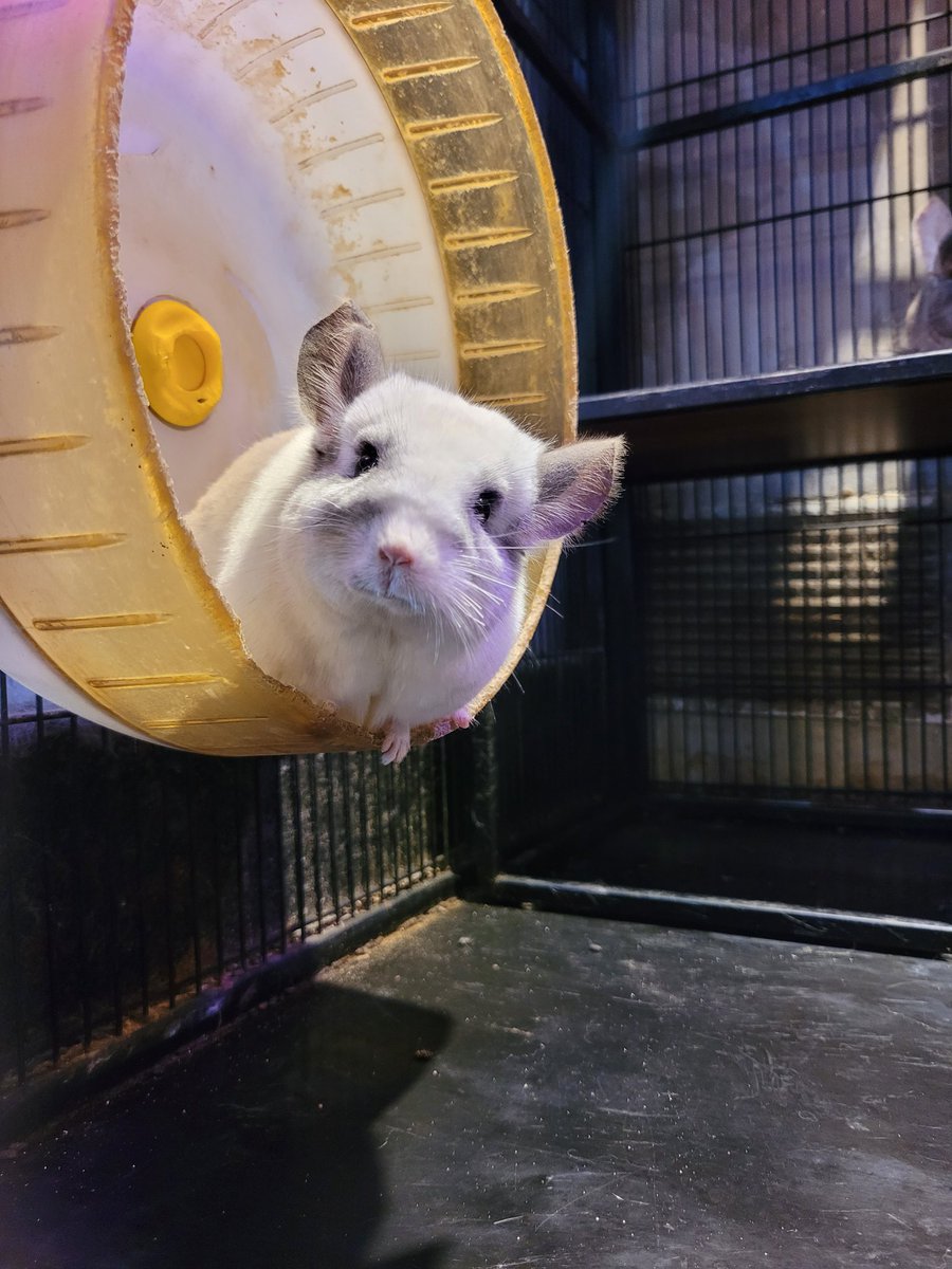 어라...??? 자..잠깐만?? 이거 넘 똑같은데??????