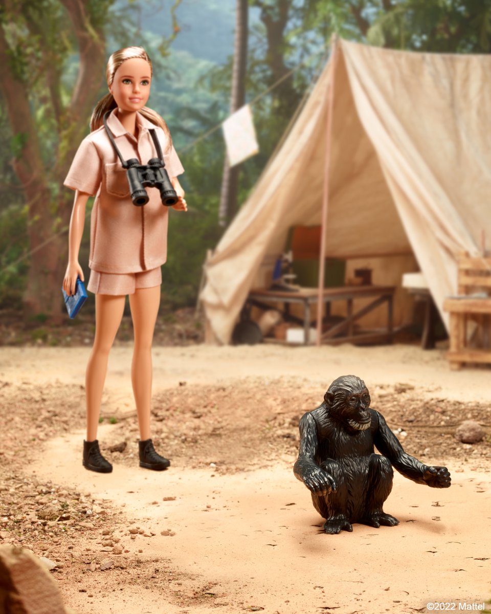 Barbie's tweet photo. Since Dr. Jane Goodall’s journey at age 26 to study chimpanzees in their natural habitat, she's paved the way for humanitarian leaders to forge their own path. Her work as an ethologist, conservationist &amp; animal advocate has been a force of compassion &amp; a benefit to our planet.🌍 https://t.co/4o5PBaRL2l