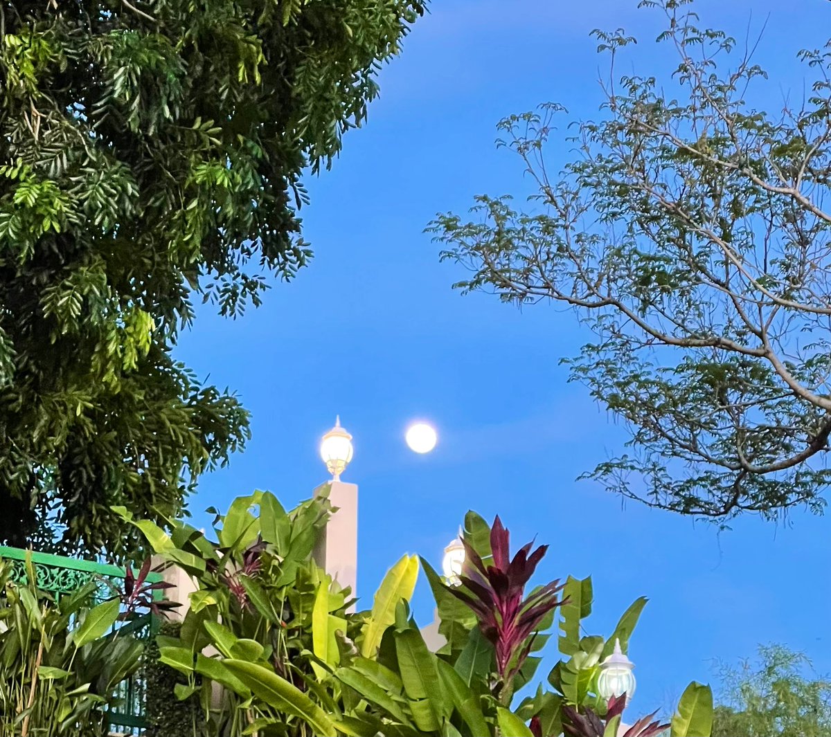 Not edited, a magical moon in the blue blue Brunei sky! #Brunei #FullMoon