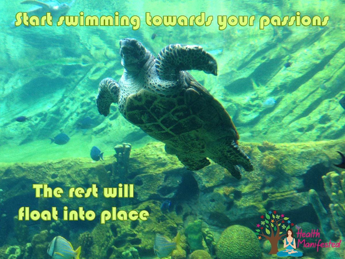 Health_Manifest's tweet photo. Start to swim towards your passions. The rest will float into place.
@health_manifest #success #inspiration #motivation #believe #life #quote #dream #hope #mindfulness #LOA #lawofattraction #power #love #happy #swim #passions #float #rest #trust #everythingworksout https://t.co/jhton8LP1x