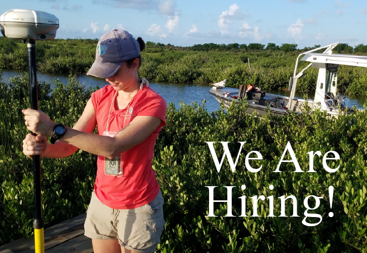 The Water Institute tweet media