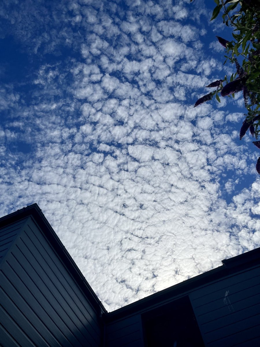 deester39's tweet photo. Look at this sky #LovePlymouth https://t.co/nPO3vIfKlL