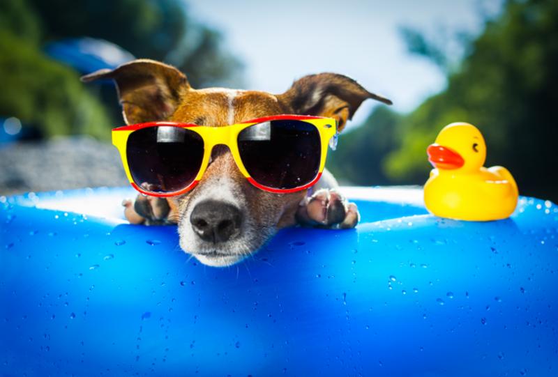It's Summer Time! Come check out the TIP Talk newsletter for some fun ideas this summer! 

conta.cc/3PpmW9c