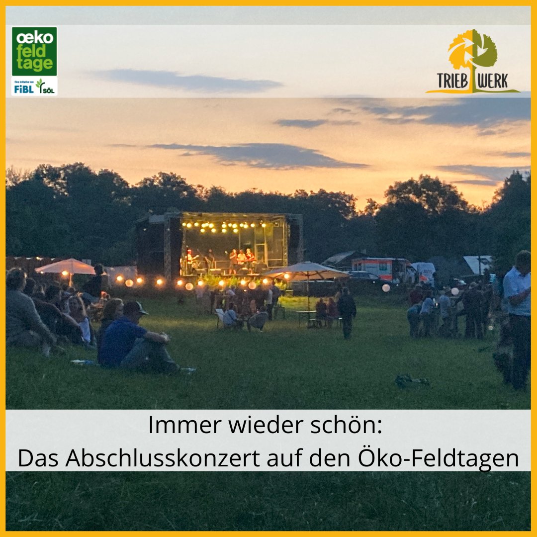 ÖKO-FELDTAGE 2022 - Ein großartiges Event für die #Agroforst|wirtschaft
&gt;11.000 Besucher*innen, 20 ha Ausstellungsfläche und Vorführungen, mehrere Agroforst-Flächen, eigenes Agroforst-Forum --&gt; ein voller Erfolg!