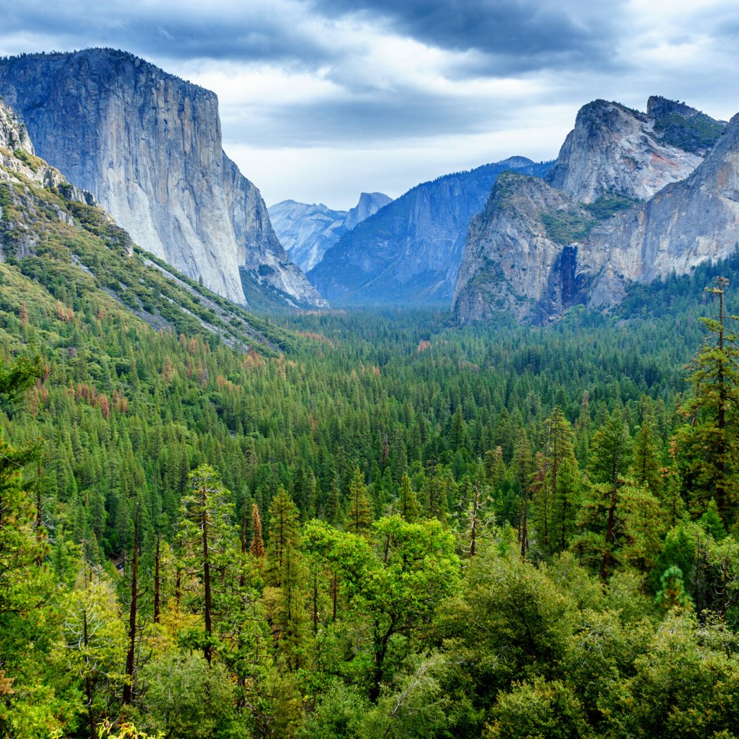 aha! (@ahaairlines) on Twitter photo Visit these lovely places + others! $29* one way fares are available for booking now on select routes to/from <a href="/RenoAirport/">Reno-Tahoe Int’l Airport</a> ✈️
Book by 7.18.22 at noon PDT for travel 8.1.22 - 10.31.22. Based on availability + select travel dates. See full restrictions at flyaha.com/deals Visit these lovely places + others! $29* one way fares are available for booking now on select routes to/from <a href="/RenoAirport/">Reno-Tahoe Int’l Airport</a> ✈️
Book by 7.18.22 at noon PDT for travel 8.1.22 - 10.31.22. Based on availability + select travel dates. See full restrictions at flyaha.com/deals