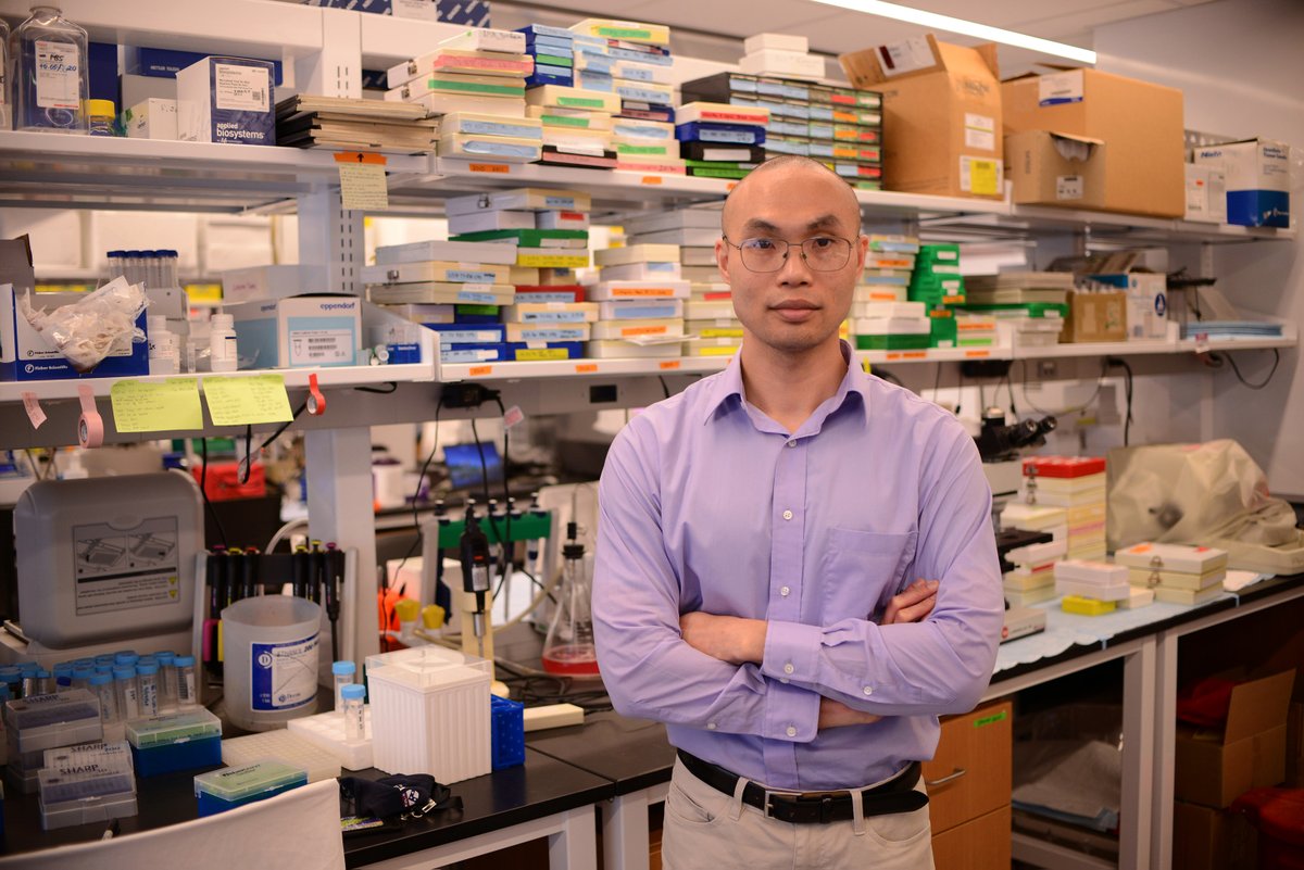 pennvet's tweet photo. Congratulations to Long Kwan Metthew Lam, PhD, for receiving #IIZD's inaugural postdoctoral fellowship. Under mentorship of @PennMedicine’s Dr. Mangalmurti, Lam will work to reduce cross-species disease transmission. Read more https://t.co/0RfBelL4Rn https://t.co/YXTnpG7C2C