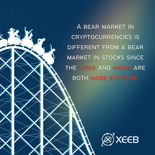 XEEBster tweet media