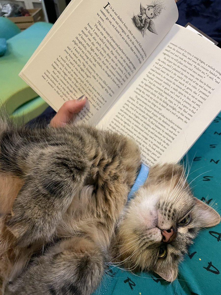 Meg Mardian tweet media