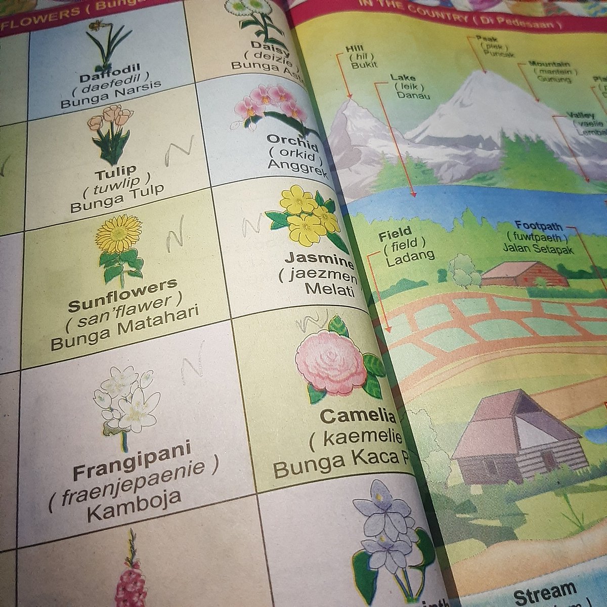 jasukebab's tweet image. 🌼 [12/07/2022] ૮₍ ๑ • ᵜ ก ๑ ₎ა࣪ study progress

hari ini ngerjain latsol matmin aja. buka kamus lama baru sadar secantik ini gambarnya 😍💗