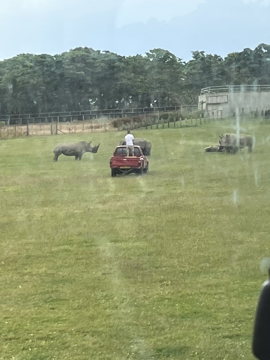 missholroyd's tweet photo. We got to see lots of animals 🐃🦏🦓🦒 https://t.co/kZu9kVouLS