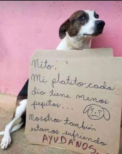 JUSTICIA tweet media