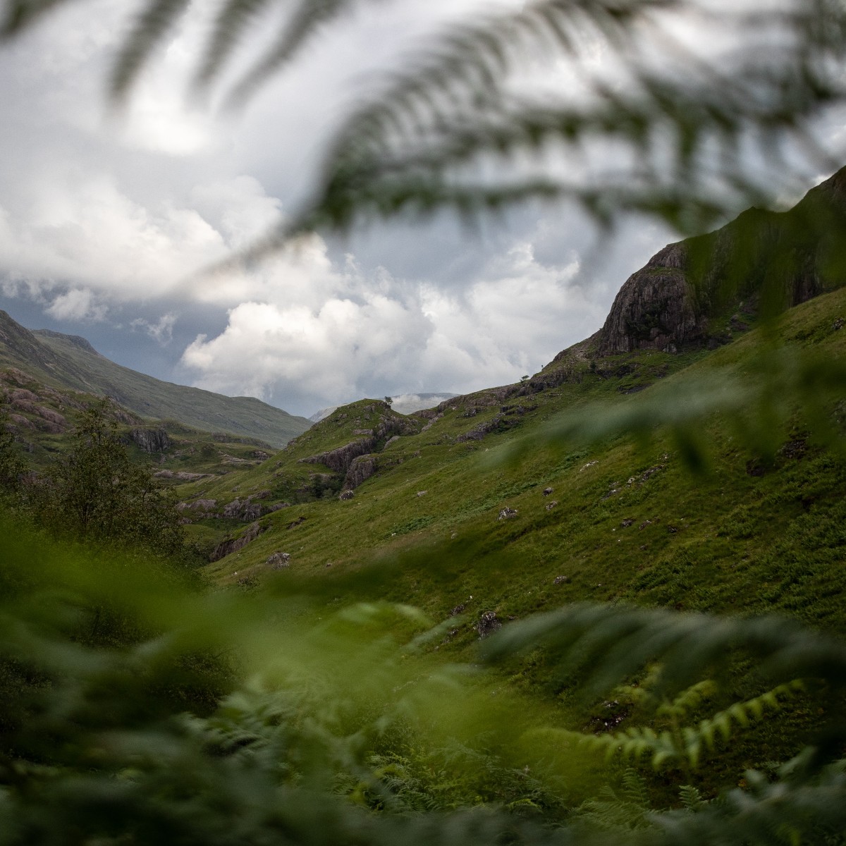 Scotland's tweet photo. Last month we asked you to nominate your favourite Scottish landscape photos in our #ScotlandsEpicLandscapes competition and here are some of our winning photos 🏆

We had so many incredible entries and can't thank everyone enough who took part 🏴󠁧󠁢󠁳󠁣󠁴󠁿 https://t.co/KthKL4w428