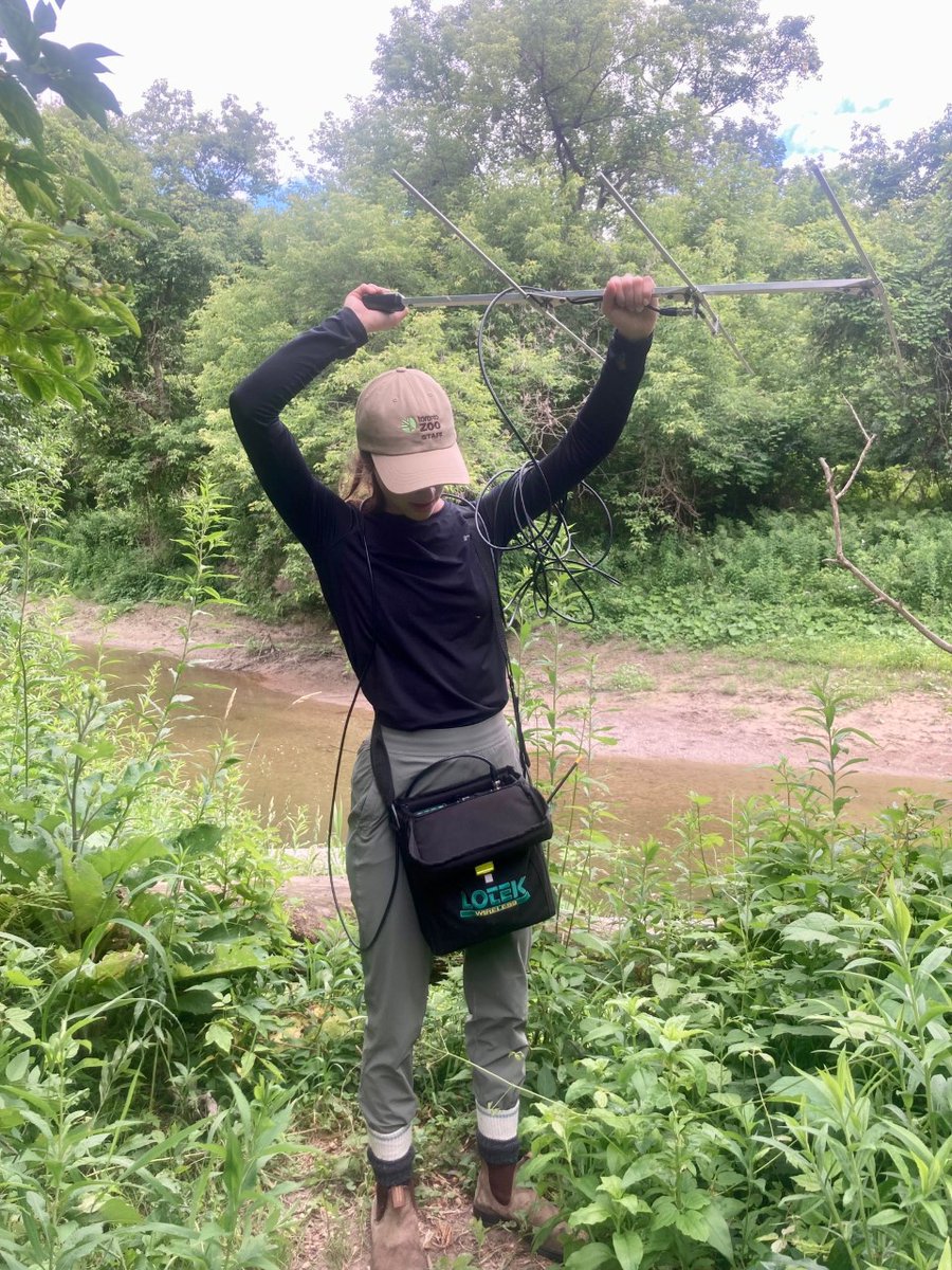 Morgan Dedato tweet media