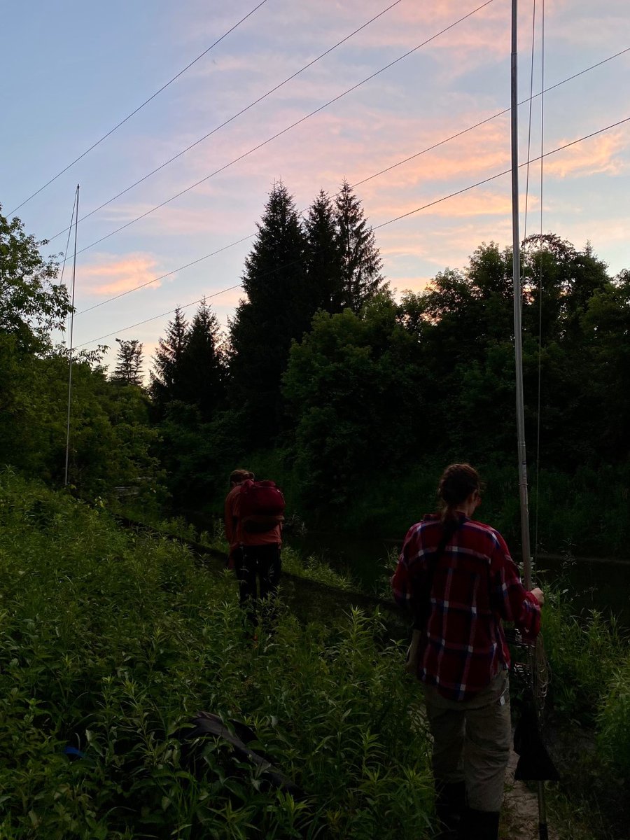 Morgan Dedato tweet media