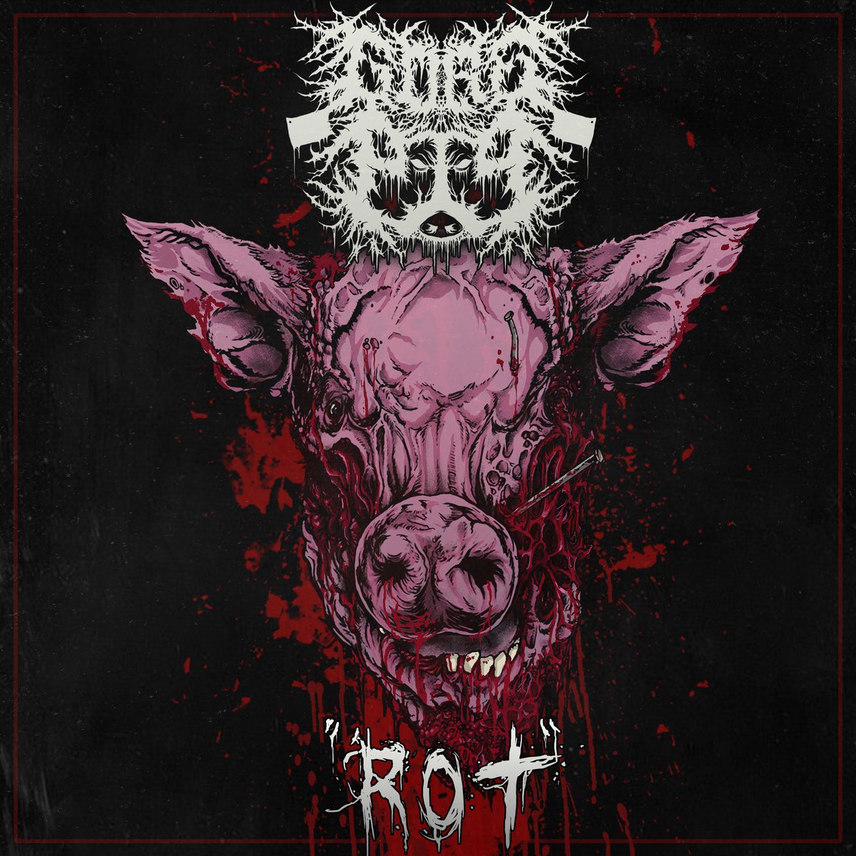 We are finally on Twitter. Stream our newest single "Rot" anywhere. 
open.spotify.com/track/4HUpiyKi…

#deathcore #slammingdeathcore #slam #heavy #breakdowns #vocals #ButcherGang