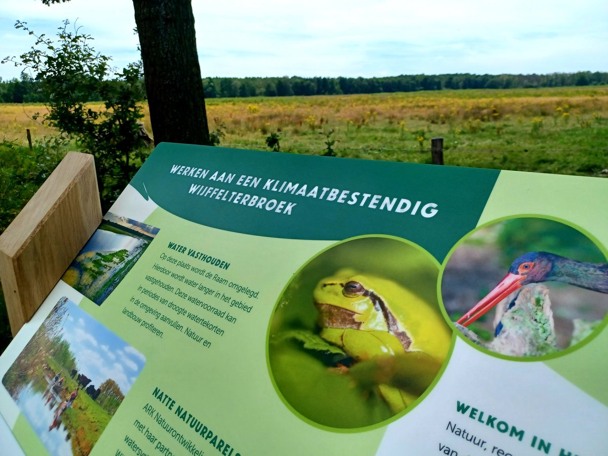 InfobordenNIV's tweet photo. Vandaag geplaaatst: projectbord voor @ARKNatuur in het fraaie natuurgebied #KempenBroek. In het #Wijffelterbroek zal een ingreep plaatsvinden waardoor water langer vastgehouden worden. Landbouw en natuur profiteren! https://t.co/AiSZZ5A7lH