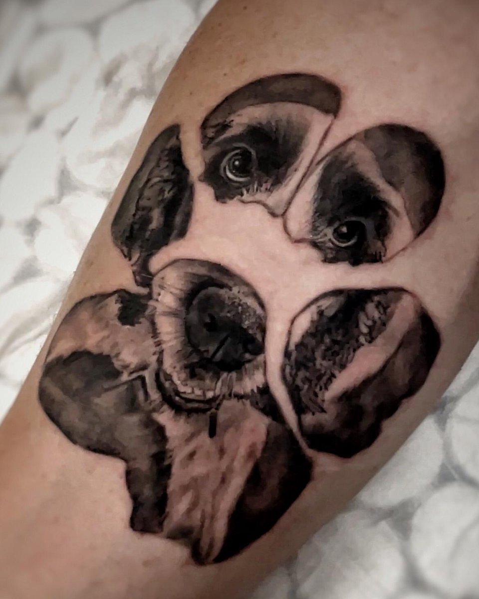 Psicoxelito tweet media