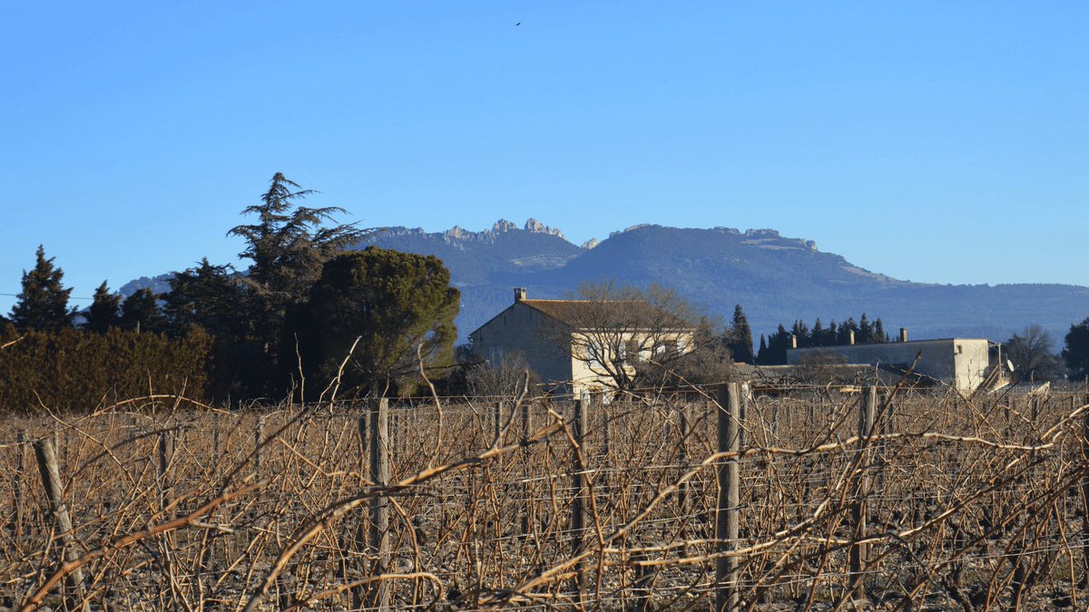Investissement dans une terre viticole, <a href="/fundovino/">Fundovino</a> présente ses premiers projets :
👉 bit.ly/3Rtdcwf
💬 Aider les projets d’acquisition ou de transmission, encourager la transition écologique au sein de la viticulture familiale...
#Bio #WineMorning