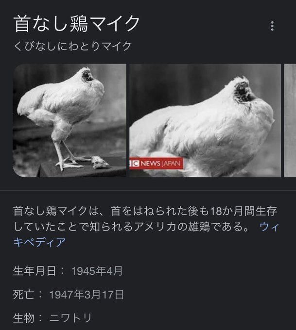 9nz7hagejさんのイラストまとめ