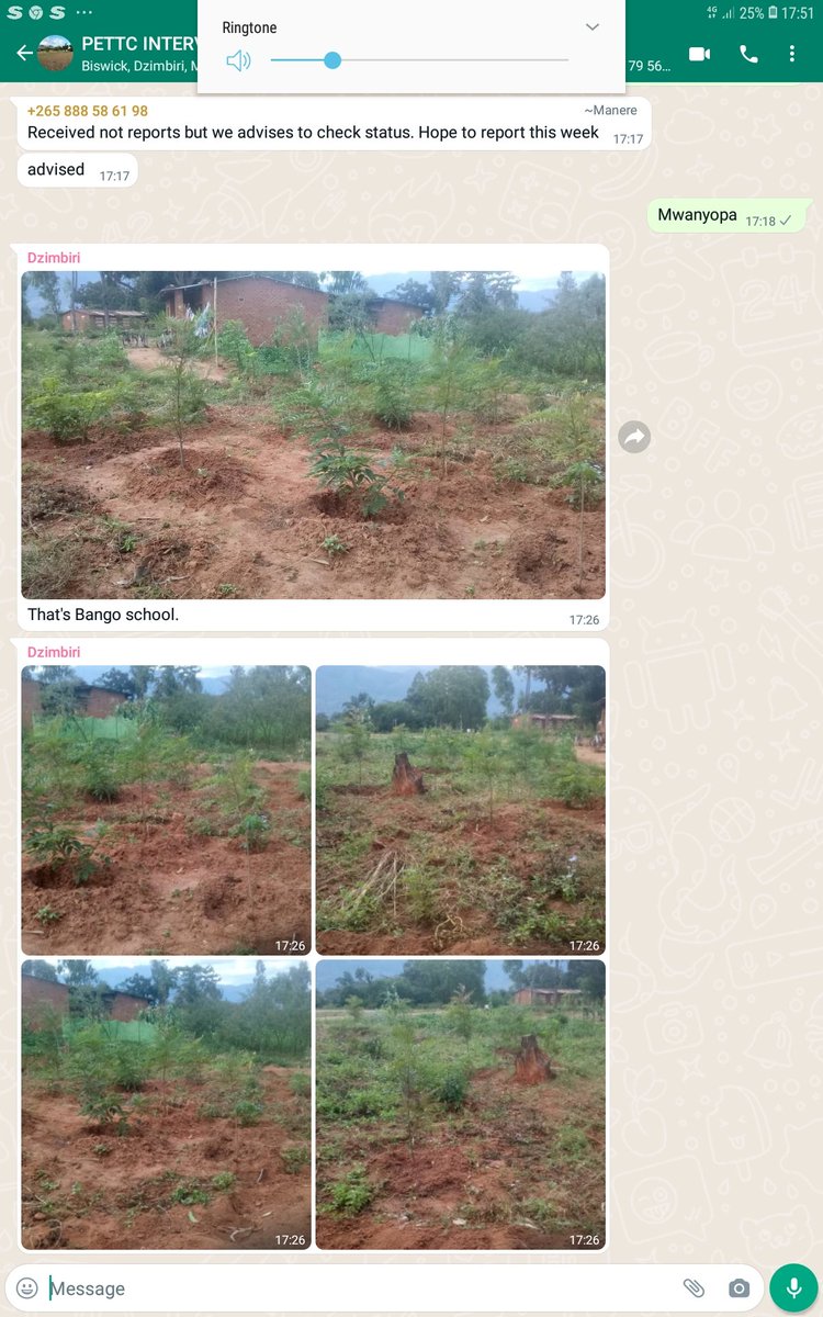 That's the side view of one of the teaching practice schools where trees have been planted and the picture shows how the trees are faring