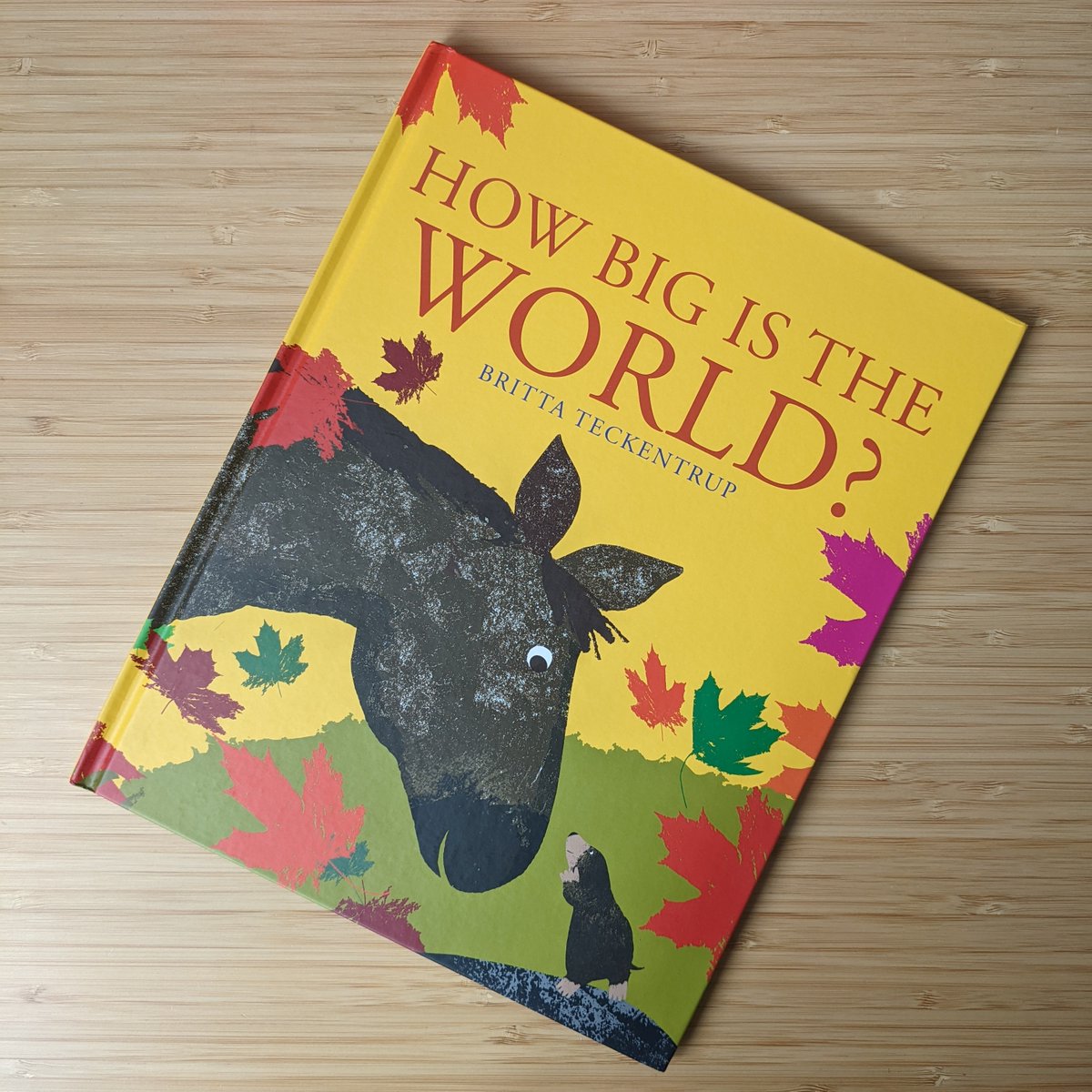 BoxerBooks's tweet image. With the school holidays fast approaching, what will you be getting up to this summer?  Will you explore the world, like Little Mole, in 'HOW BIG IS THE WORLD?' by @Britta_Teckentrup?

#boxerbooks #brittateckentrup #explore #adventure  #picturebooks #holidays #summer