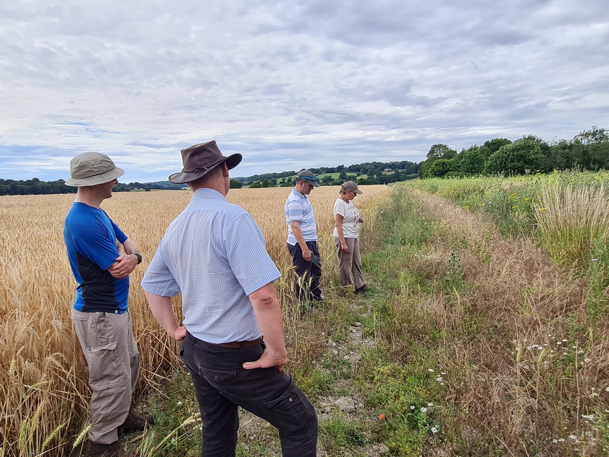 fbuner's tweet photo. Fab afternoon showing arable specialists @NaturalEngland around @RotherfieldPark today. They were impressed with advanced #PARTRIDGEmix @OakbankGame suitable for new #wildlifeplot option, also the #arablemargins. @arableplants even spotted the rare #densefloweredfumitory for me! https://t.co/e4j4wXxC4p