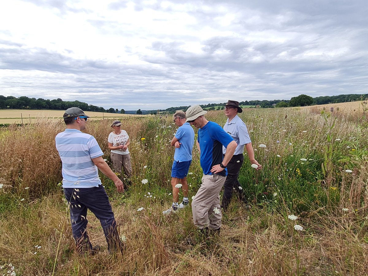 fbuner's tweet photo. Fab afternoon showing arable specialists @NaturalEngland around @RotherfieldPark today. They were impressed with advanced #PARTRIDGEmix @OakbankGame suitable for new #wildlifeplot option, also the #arablemargins. @arableplants even spotted the rare #densefloweredfumitory for me! https://t.co/e4j4wXxC4p