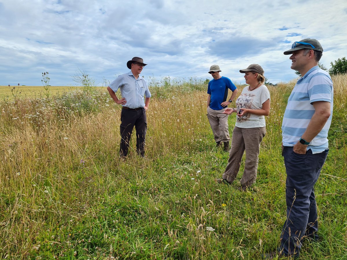 fbuner's tweet photo. Fab afternoon showing arable specialists @NaturalEngland around @RotherfieldPark today. They were impressed with advanced #PARTRIDGEmix @OakbankGame suitable for new #wildlifeplot option, also the #arablemargins. @arableplants even spotted the rare #densefloweredfumitory for me! https://t.co/e4j4wXxC4p