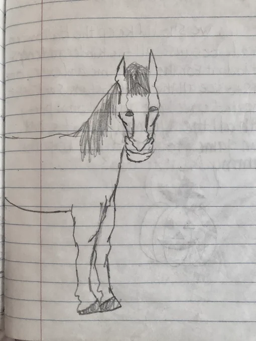 check out this horse i drew in 3rd grade 