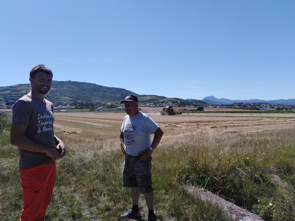 FSarlieve's tweet photo. Les agnelles sont tondues. Le blé est moissonné. 
Les anciens rencontrent les nouveaux.
Avant les grandes chaleurs, ça respire sur la plaine de Sarliève. https://t.co/5KQwlQNTlD