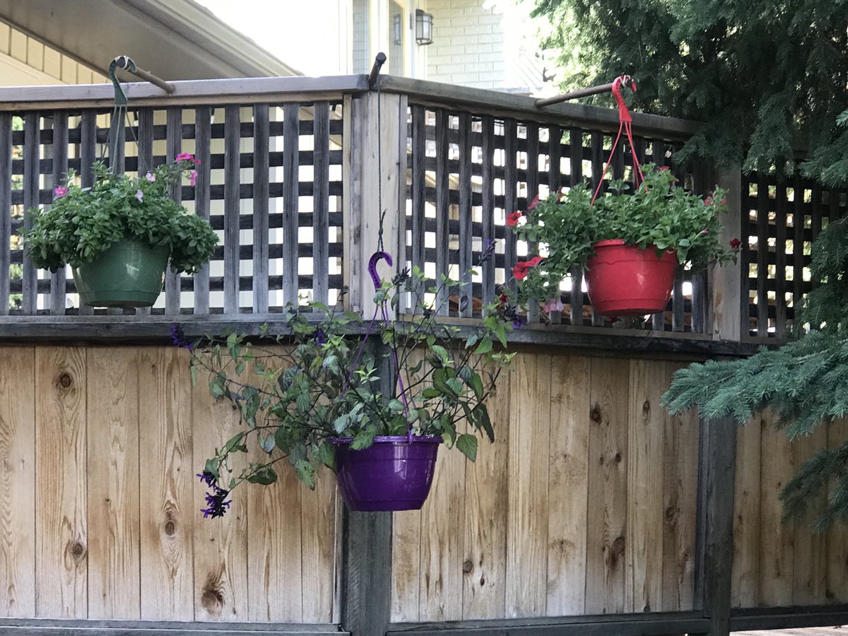 BarbaraPohl's tweet photo. How nice is this. My neighbours hung flowers on their privacy screen because they want to make it nicer for us. They can’t even see these lovely planters. #bestneighbourever #YYCspirit #neighbour 💕#community https://t.co/Lu8Dr6GTN3
