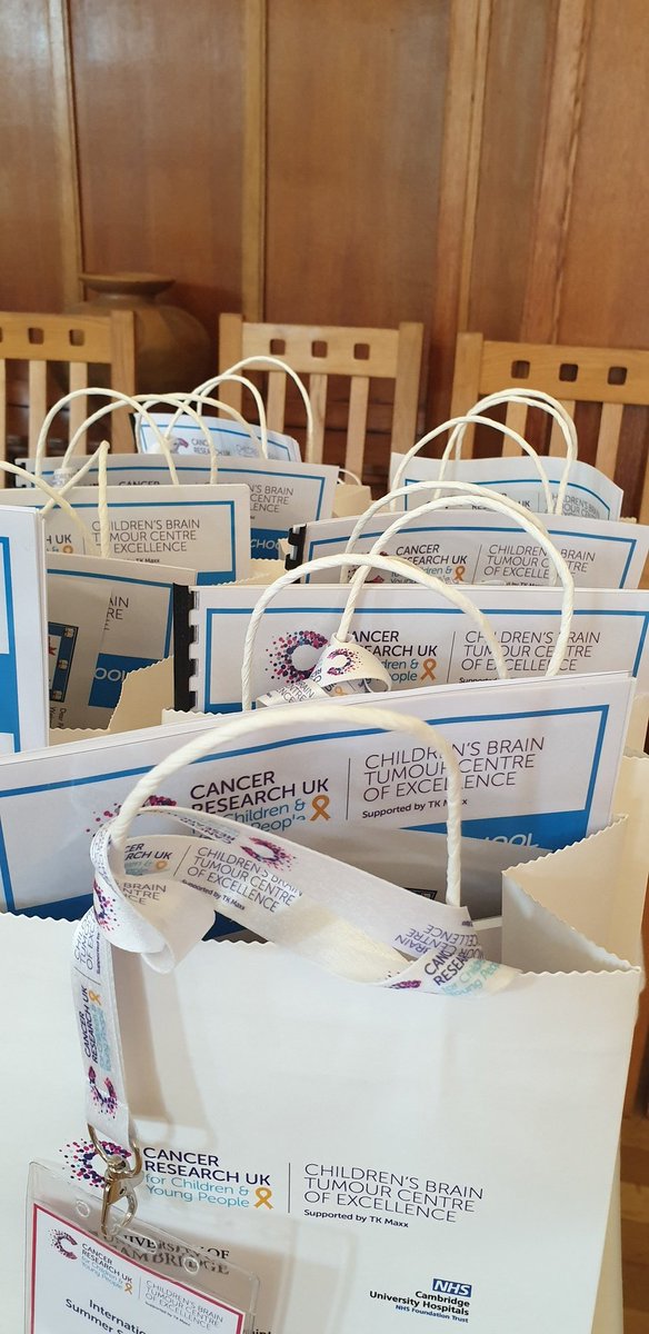 CRUKCamBCVI's tweet photo. We are helping our colleagues at CRUK Children's Brain Tumour Centre of Excellence this week with their excellent Summer School. Loads of great conversations going on! @ICR_London @CRUKYoungPeople @CRUKCamPaeds https://t.co/rPb1n09n2B