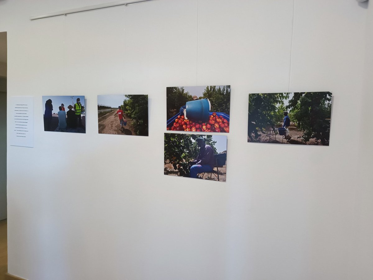 ugtficat's tweet photo. 📢 Inauguració de l'exposició "L'ànima de la fruita" de Marien Moreno al Museu de l'Immigracio de Catalunya
😡Amb l'onada de calor s'amplifica el treball precari dels treballadors/és de la fruita
✊Combatrem la misèria i el frau al camp 
💪Exigim compromís a tothom https://t.co/CjtsRXRwUg