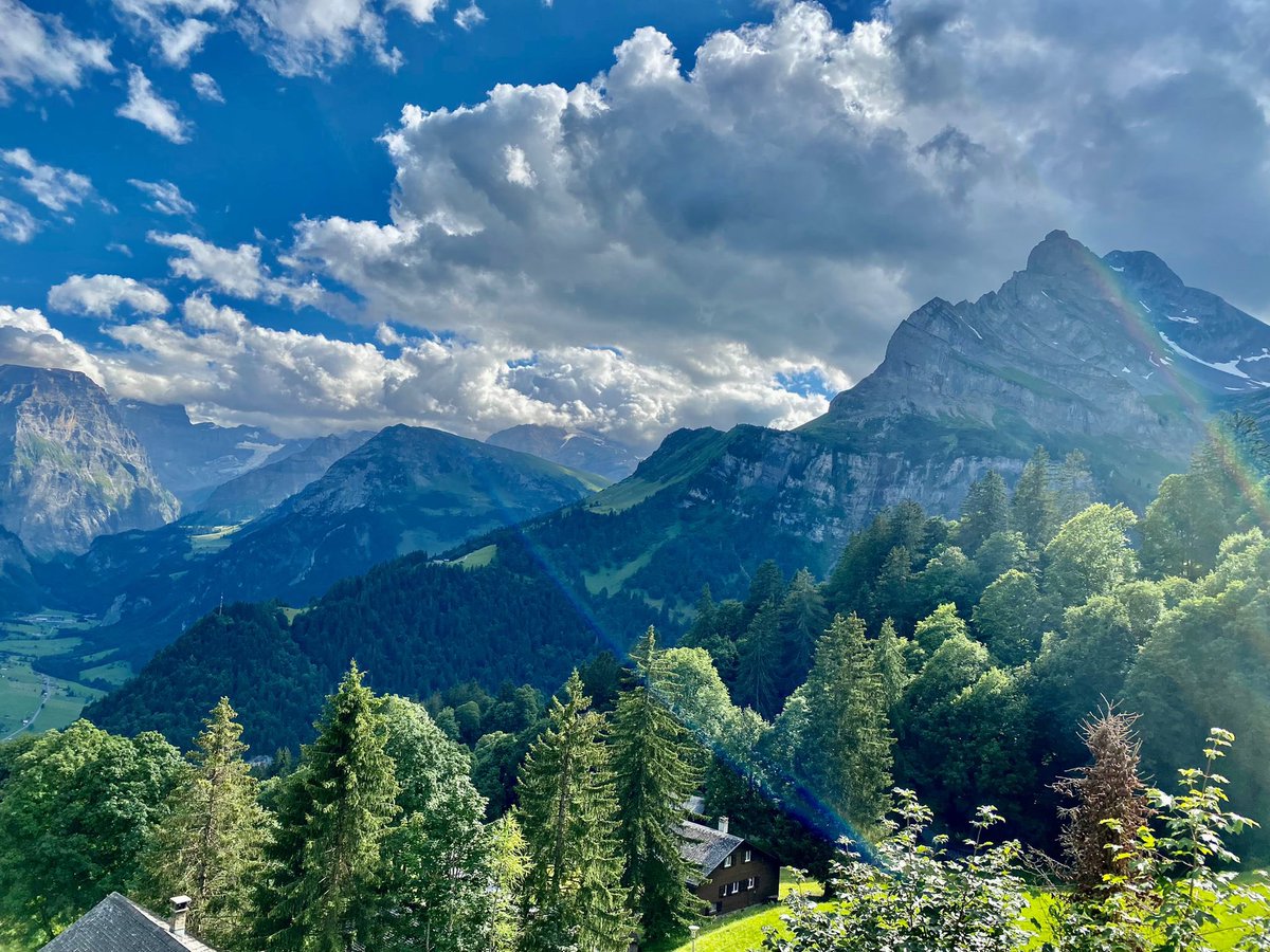 Fabian | sandblue tweet media