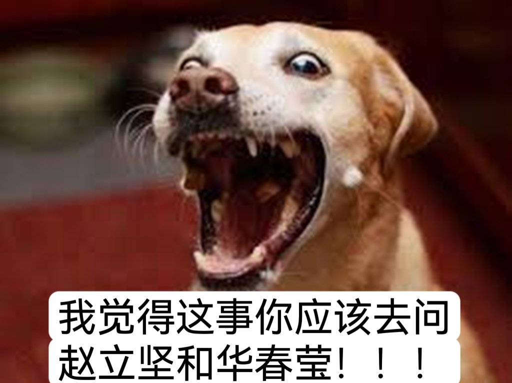 V0VOAChinese's tweet photo. @pennys_pro https://t.co/iPJc7a4iZI