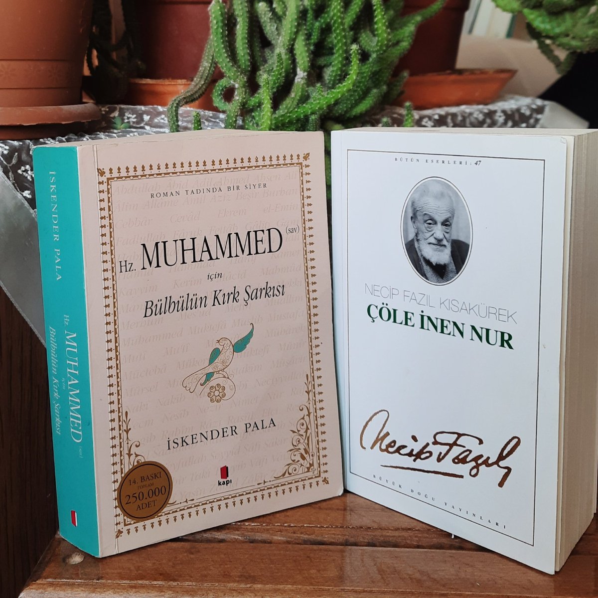 <a href="/kasapoglu/">Dr. Mehmet Kasapoğlu</a> #GSBKitapKart   Necip Fazıl Üstadın,
"Çöle İnen Nur" ile
İskender Pala Hocamızın
"HZ Muhammedasm için Bülbülün 40 Şarkısı"
Beraberce okunmasını tavsiye ederim.
İstifade Garantisi var ;)