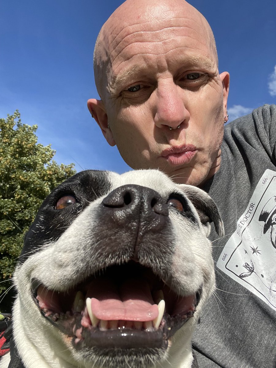 Happy #TongueOutTuesday pals! My People have been poorly for the last 10 days with a Rona virus, so we’ve done lots of snoozing and lots of snuggling and not much else! They’re both doing better now, so I’m back to my usual mischief 😷😬🌼