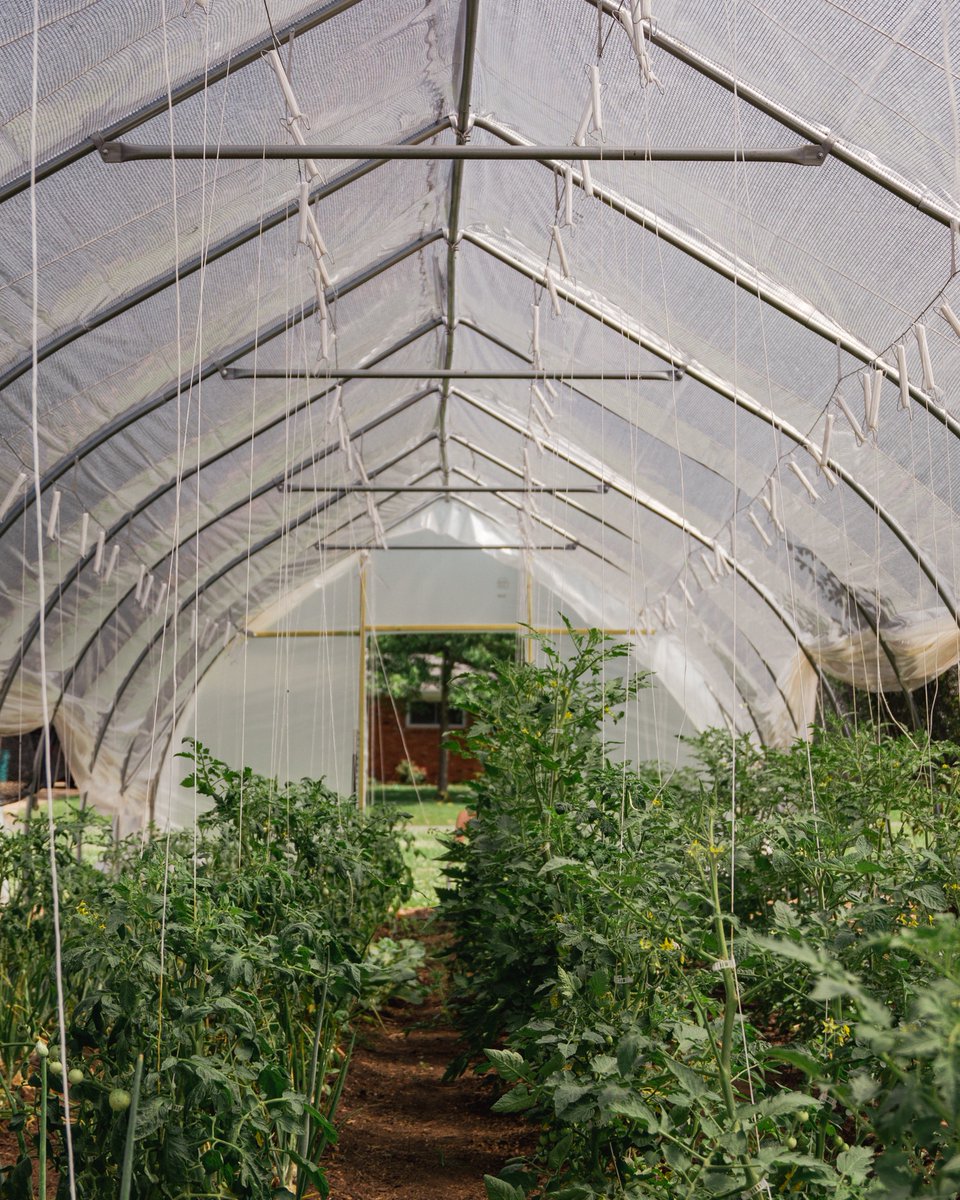 flourishcdc's tweet photo. The vibes from our neighborhood garden are immaculate. 😍⭐ Interested in volunteering? Visit our website to learn more: https://t.co/icHCaxHf2Q 😇✨ https://t.co/jw5b9wWiHj