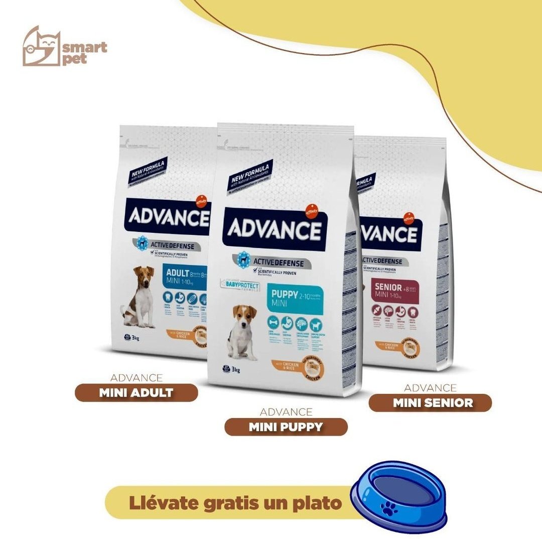 smartpetsv's tweet photo. Por la compra de ADVANCE MINI Puppy, MINI Adult o MINI Senior, llevate GRATIS un plato para tu peludo. #SmartPromo válida mientras duren existencias. Más información en nuestro WhatsApp 7652 9096. Viví #TheLifeOfASmartPet https://t.co/kJVhFNXf2G