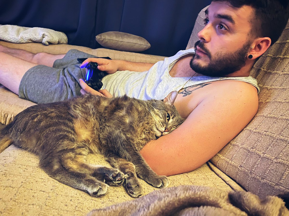 cheechuu7's tweet photo. Aquí de tranquis 🐈 https://t.co/AihjtFyorC