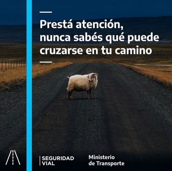 Pat_Cardozo's tweet photo. ⚠️ Presta atención, nunca sabes que puede cruzarse en tu camino

@Planetacamion @WazeArg @ComunidadCamion @CamionArgentino @ernestoarriaga @rominawinner @APTTA_ @patotransito @AleRamosTN @InfoSegVial https://t.co/gVfzOpQFH8