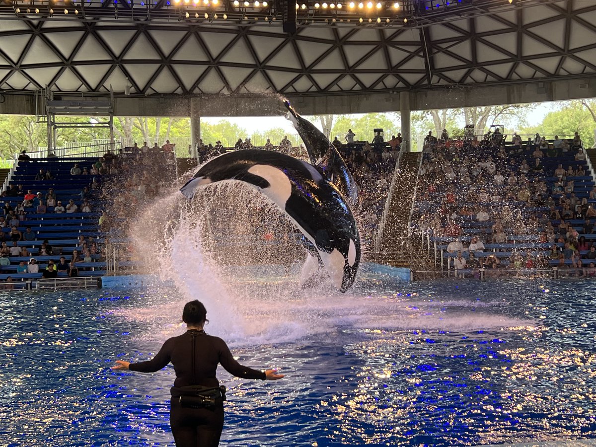 NFHS Talon Yearbook tweet media